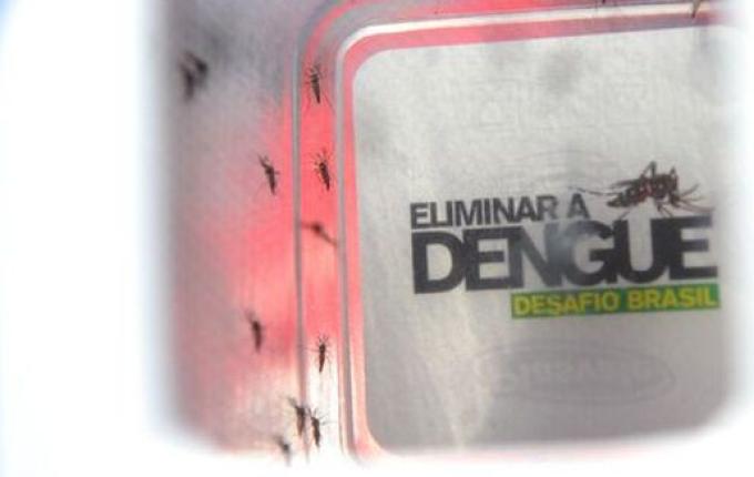 Frio pode ter influenciado classificação de 'Baixo Risco' para Dengue