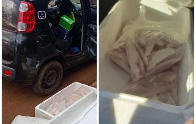Vendedores são abordados vendendo peixes estragados em Iporã do Oeste