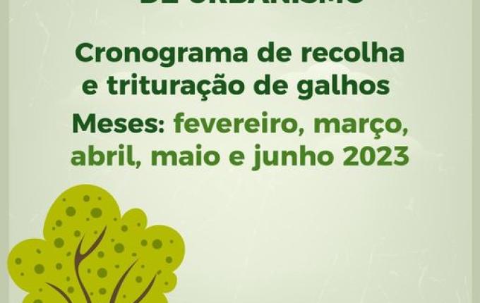 Urbanismo inicia recolha e trituração de galhos no mês de fevereiro