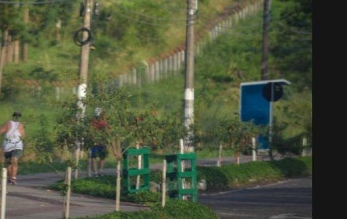 Fotos: Pessoas ignoram orientações e caminham, correm e pedalam em SMOeste