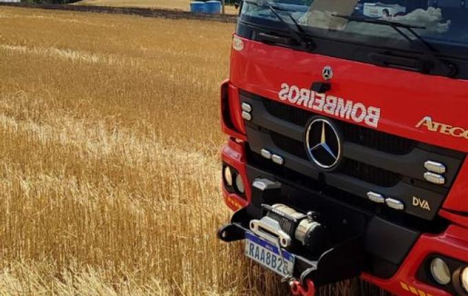 Incêndio atinge plantação de trigo no interior de Maravilha