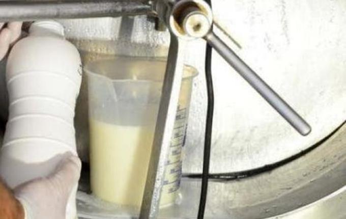 Procon notifica três indústrias em SC por aumento no preço do leite