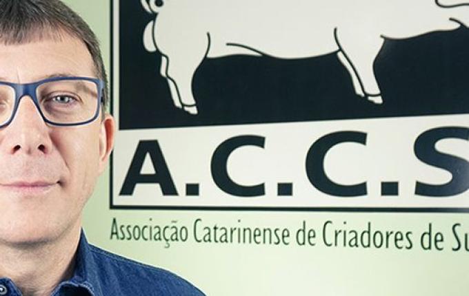 ACCS evita empolgação aos seguidos aumentos no preço da carne suína
