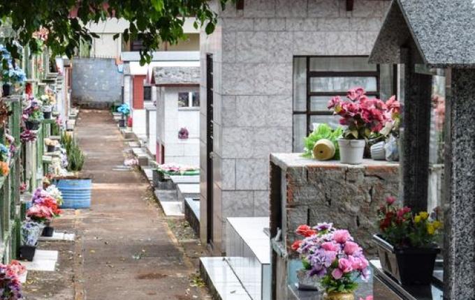 Descuido das famílias fazem focos da dengue disparar no cemitério São Miguel e Almas