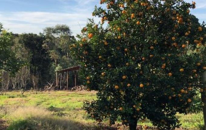 VÍDEO: Dificuldades da pandemia não paralisam atividades no Cedup
