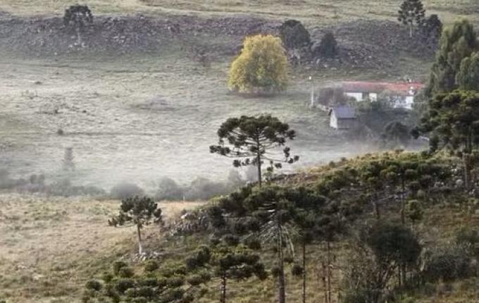 Santa Catarina registra 2º dia de geada com mínima de 0,6ºC