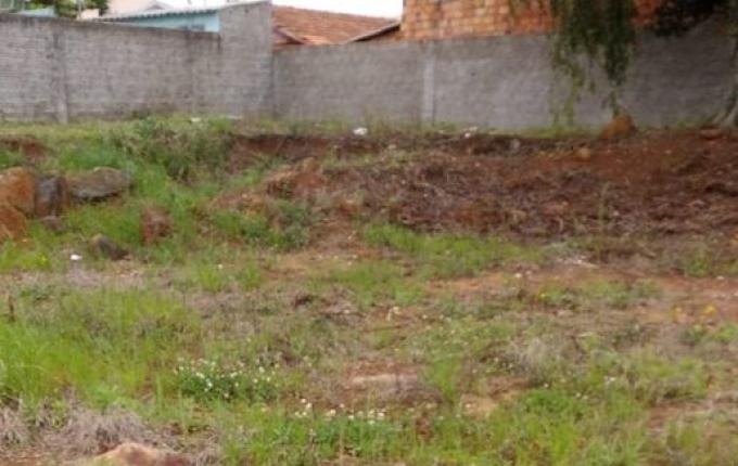 Feto de 5 meses é achado dentro de saco de papel em terreno baldio em SC