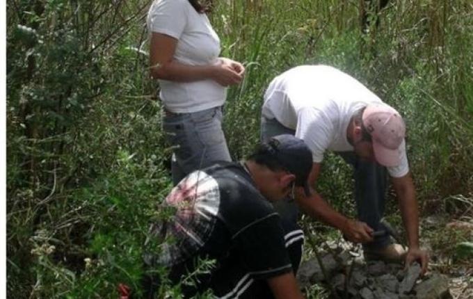 Fóssil de escorpião que viveu antes dos dinossauros é encontrado em Canoinhas