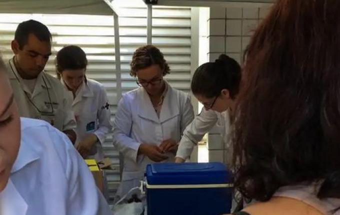 Saúde alerta para vigilância e imunização contra febre amarela