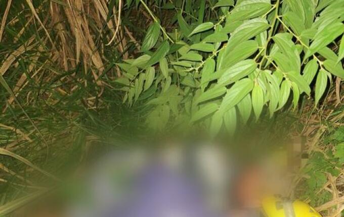 Idoso que estava desaparecido é localizado no interior de São José do Cedro