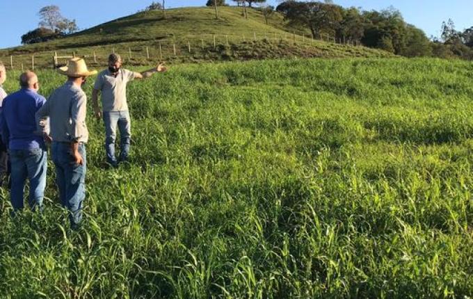 Projeto na área da suinocultura terá investimento de R$ 19 milhões em SMO