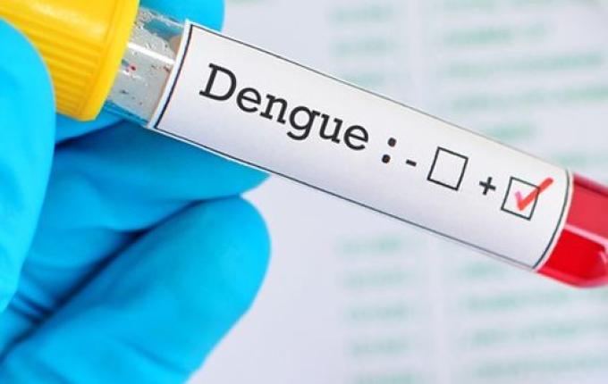 Guarujá do Sul registra o 1º caso de Dengue