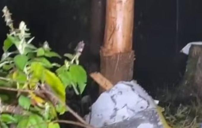 Avião que saiu de Florianópolis e caiu no interior de SP tinha cinco ocupantes