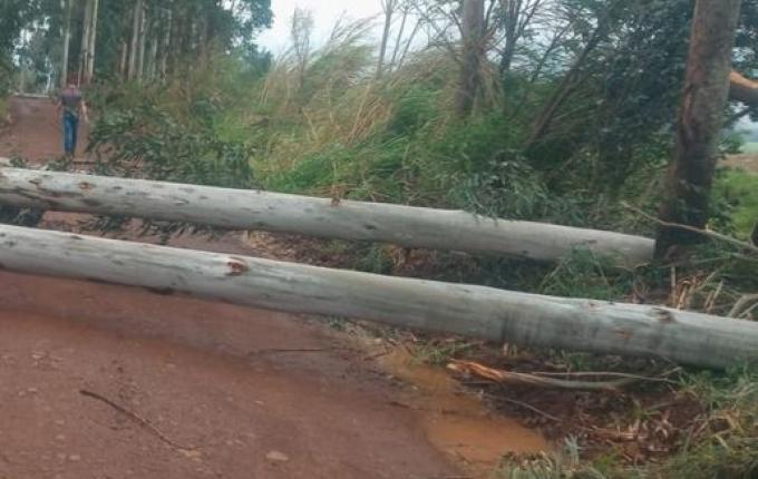 Falta de energia elétrica causa desabastecimento de água em Palma Sola