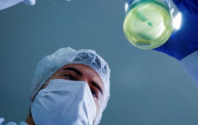 Profissionais com ensino superior têm taxa de desocupação de apenas 1,2% em Santa Catarina