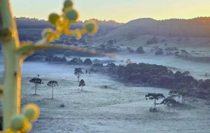 Geada e mínimas de 1,5 °C marcam amanhecer na Serra de SC a quatro dias para início do verão
