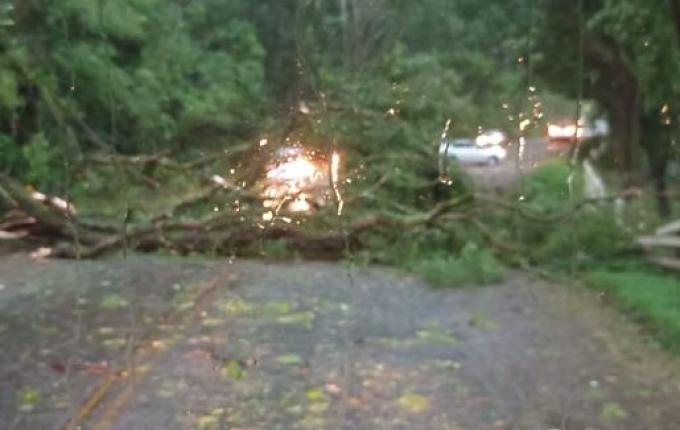 Temporal derruba árvores e danifica residências em Itapiranga