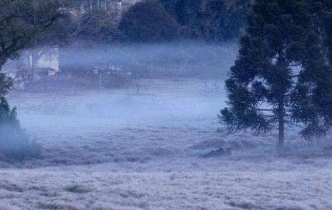 Epagri orienta agricultores sobre onda de frio intenso na região