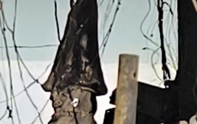 Incêndio destrói empresa, mas imagem de Nossa Senhora permanece intacta