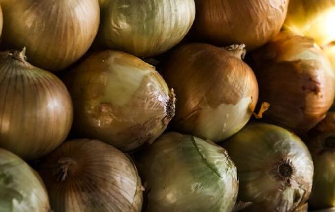 Mais cidades de SC decretam situação de emergência por conta do preço da cebola