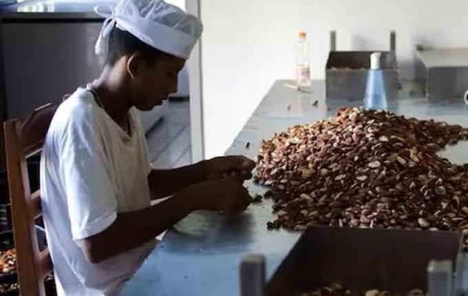 Senado vota garantia de INSS e piso salarial para trabalhadores de cooperativas