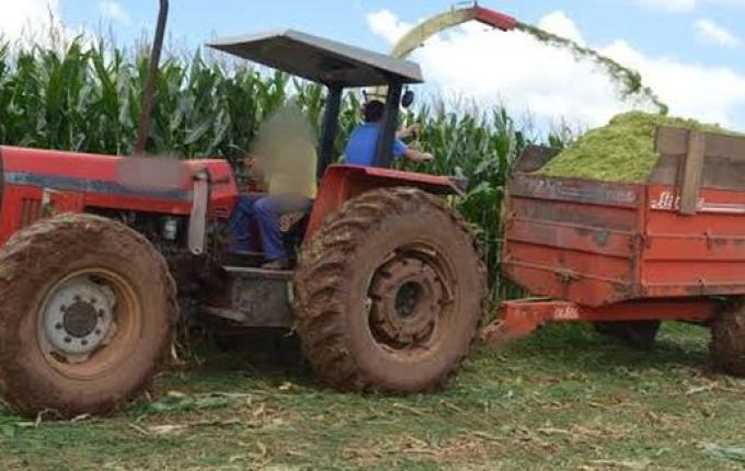 Jovem tem couro cabeludo arrancado em Belmonte