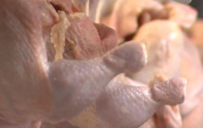 OMS minimiza perigo do coronavírus entrar na cadeia alimentar