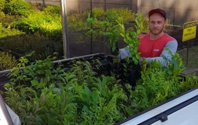 Lions Clube Iporã realiza mais uma etapa do Projeto 10 mil Árvores