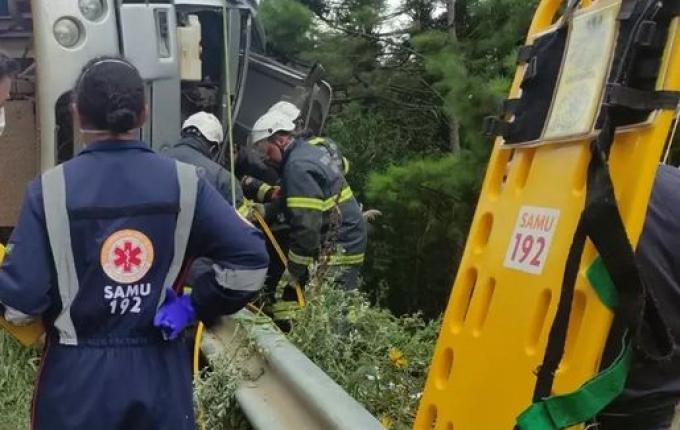 Caminhão carregado com 18 bois capota e animais caem em ribanceira em SC