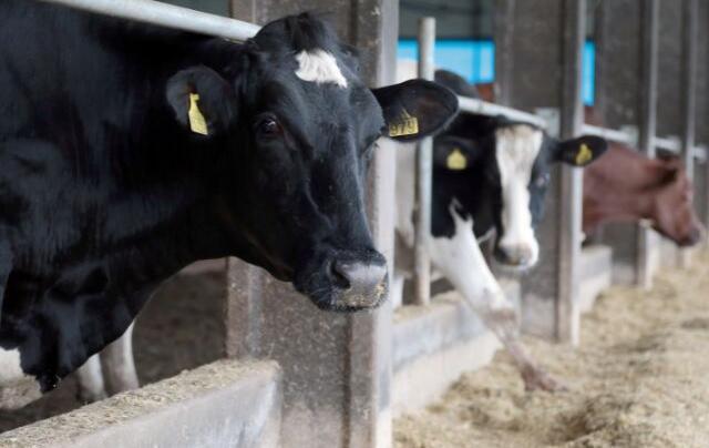 Extremo Oeste lidera crescimento do agro em SC e concentra 25% da produção de leite