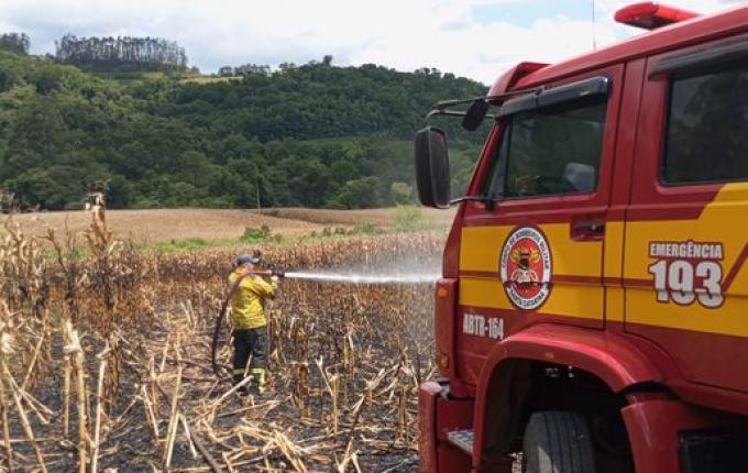 Incêndio atinge lavoura de milho e destrói parte da plantação em Serra Alta