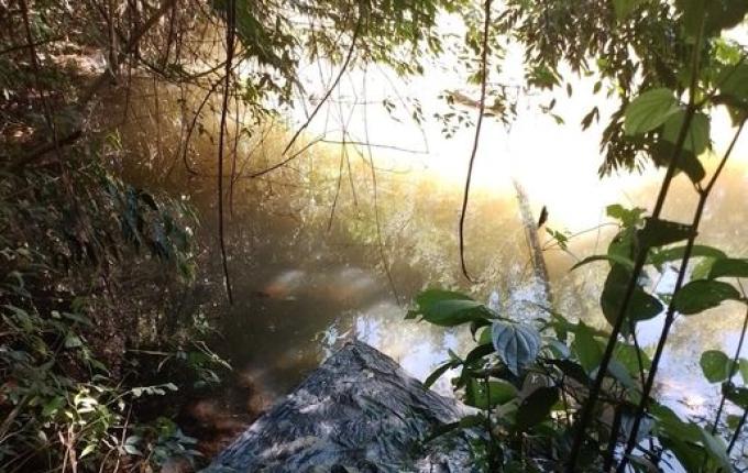 Idoso morre afogado em açude