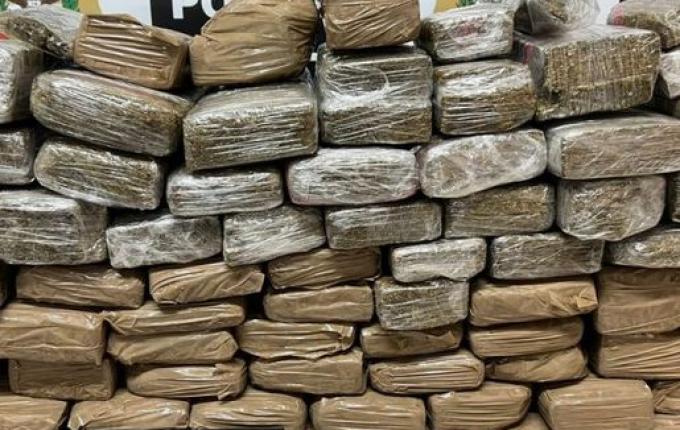 Polícia apreende 66 kg de maconha em casa de advogados em SC