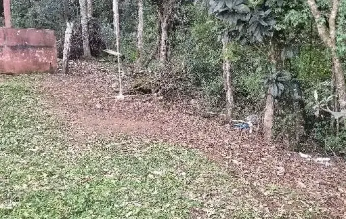 Feto humano é encontrado por crianças no meio-oeste de SC