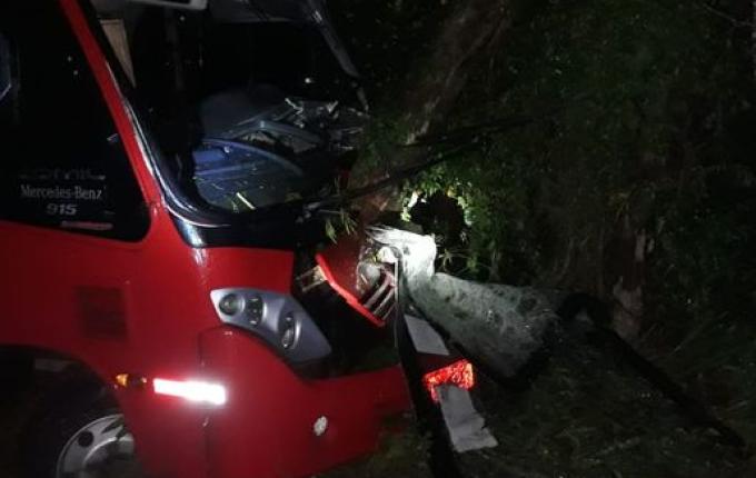 Árvores na pista causam acidentes na SC 163