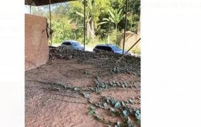 Mulher matou amiga grávida com golpe de tijolo na cabeça, diz Polícia Civil