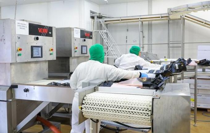 Oeste de SC tem mais de mil vagas abertas pelo Sine