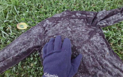 Quatro cidades da Serra registram frio abaixo de 0°C em SC