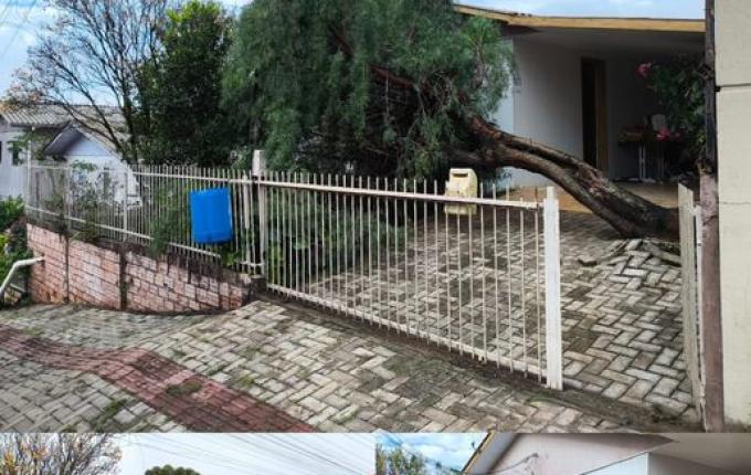Árvore de grande porte cai sobre casa e carro após chuvas em São Lourenço do Oeste
