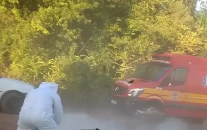 Homem atacado por enxame de abelhas segue internado em estado grave