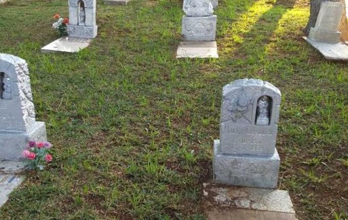 Apenas 2% dos notificados compareceram para manutenção de sepulturas