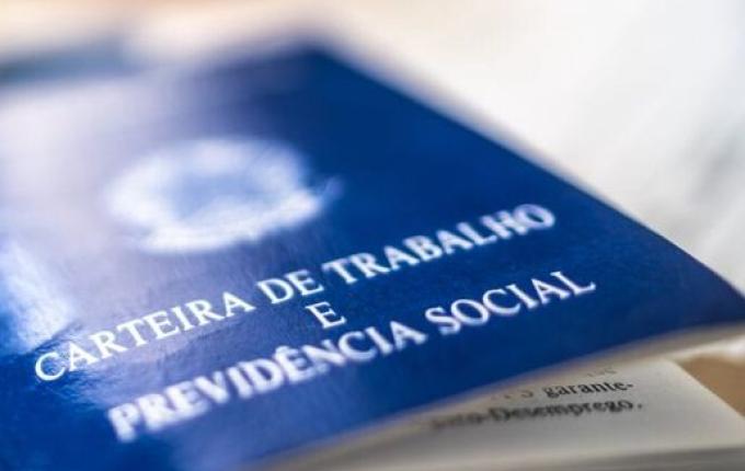 Comércio e serviços concentram 64% da população ocupada em SC