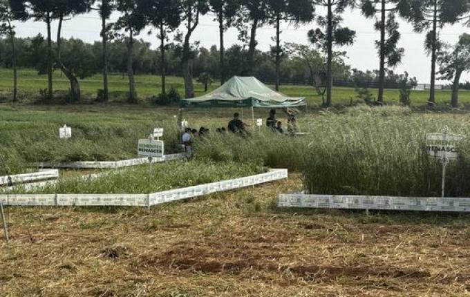 Cedup Campo Erê realiza tradicional Dia de Campo
