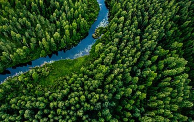 Conder realiza estudo ambiental após mudança na lei de preservação