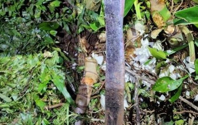 Polícia Civil finaliza investigação do feminicídio registrado em Maravilha