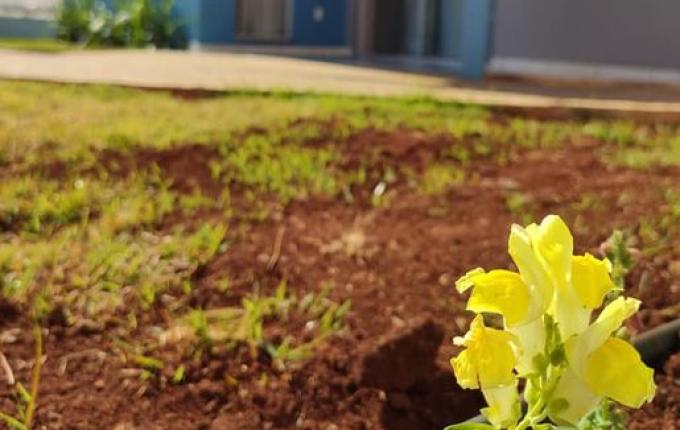 Cras de Princesa inicia atendimentos na sede própria