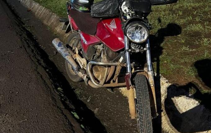 Bezerros invadem a pista e causam acidente na Willy Barth