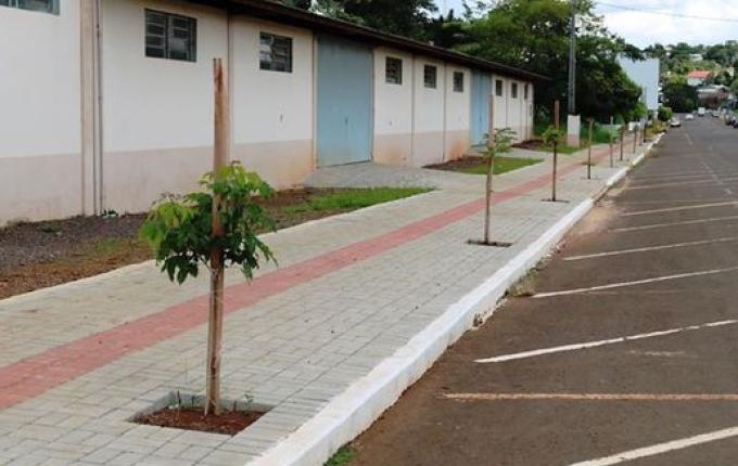 Prefeitura de SJCedro trabalha no plantio de árvores