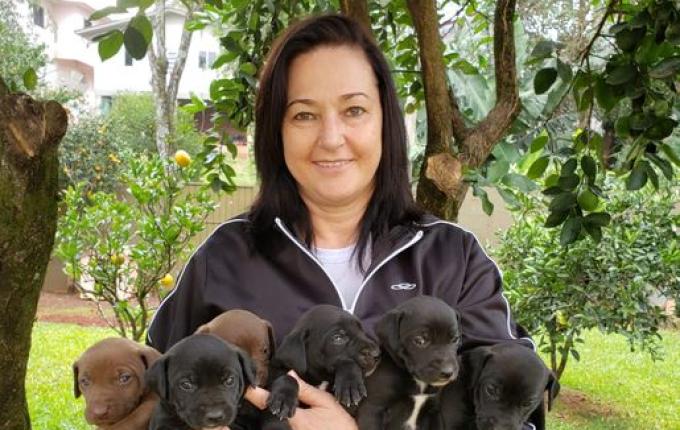 Dia do Voluntário: Uma vida dedicada a cuidar dos animais