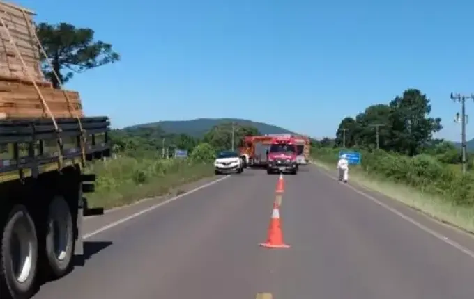 Carro sai de pista, bate em colmeia e pessoas são atacadas por abelhas